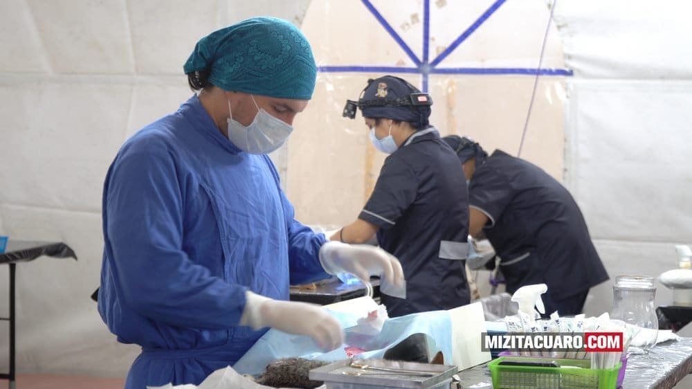 Campaña de esterilización en Tuxpan